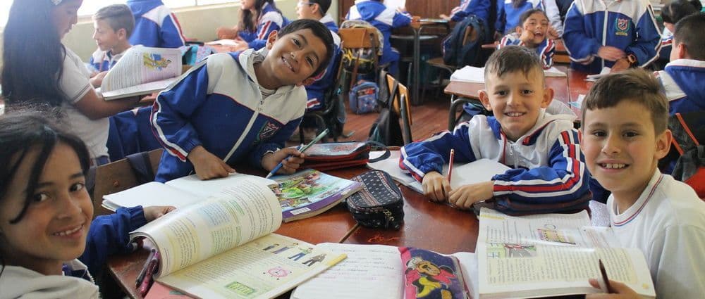 Boletín noviembre 2018 – enero 2019