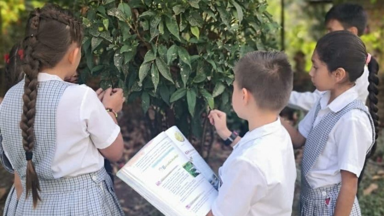 Boletín agosto – octubre 2019