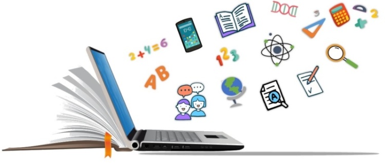 Boletín agosto – octubre 2020