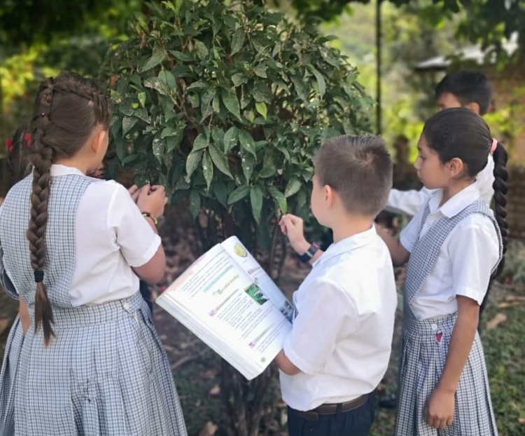 Newsletter August – October 2019